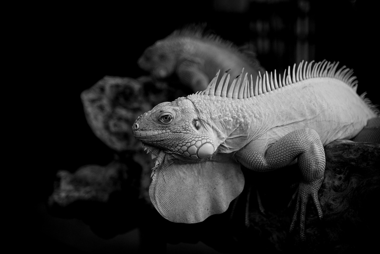 霊視は本当に当たるのか、実際の体験談と共に検証してみた？